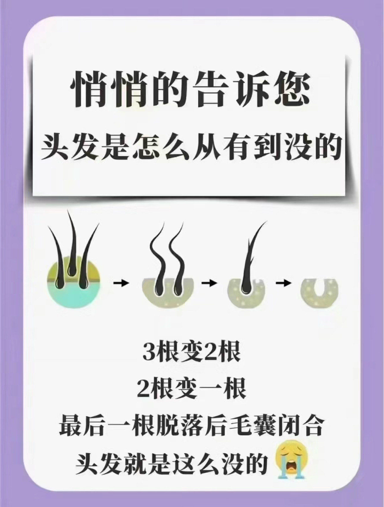 相声大师二婚娶小20岁娇妻65岁得子70岁仍奔波(图1)