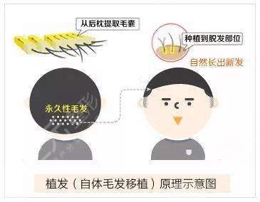 首批十个河北旅游名县出炉(图1)