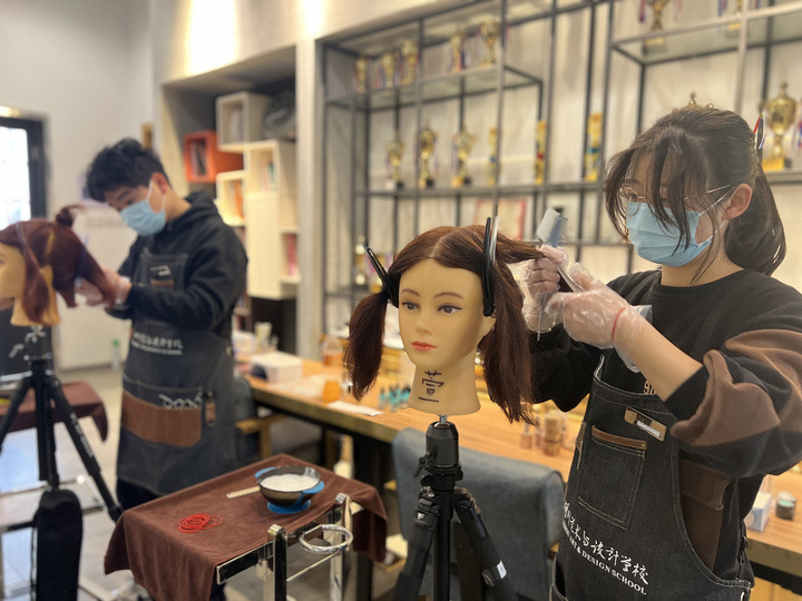 北京绿化树修护北京景观树修剪各种树木修护(图1)